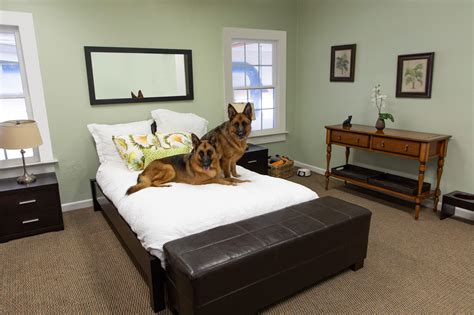 VIP Dog Hotel West Palm Beach 